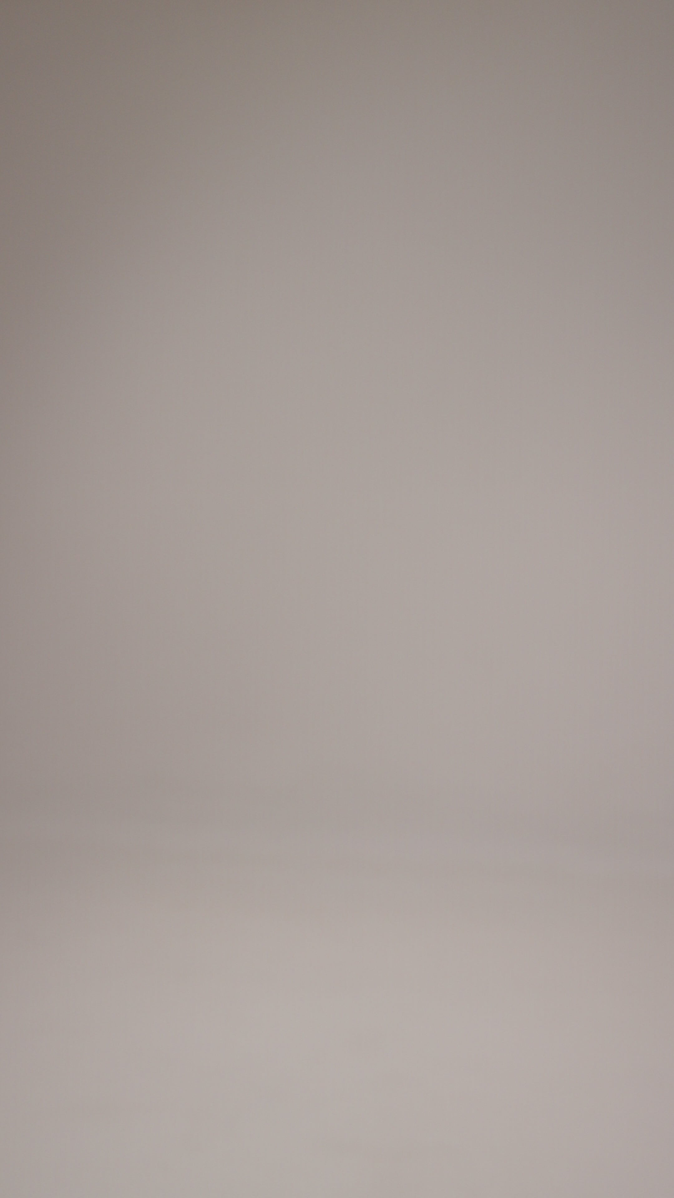 Taupe Organza Jacket Suit