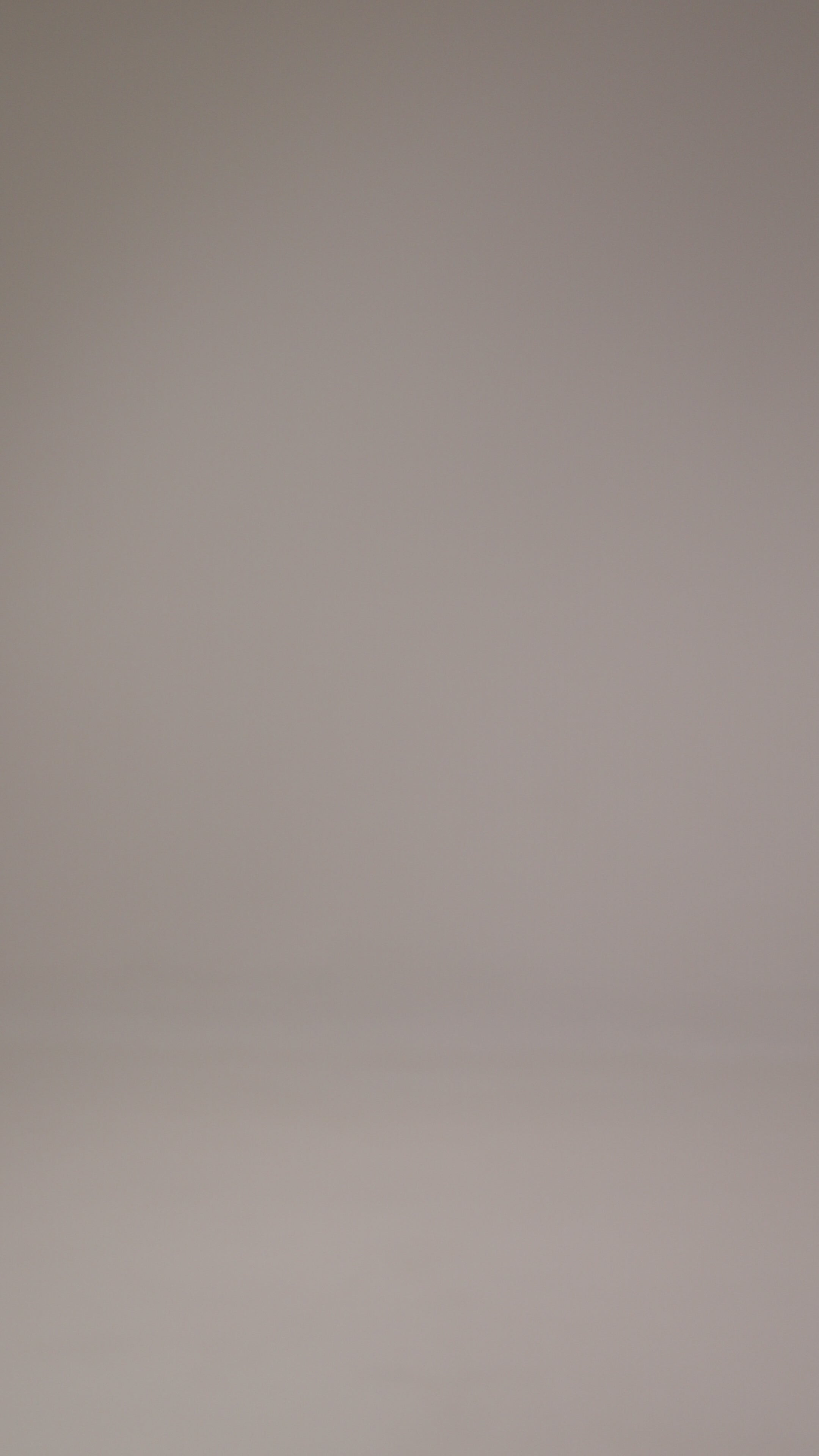 Buttercup Trouser suit